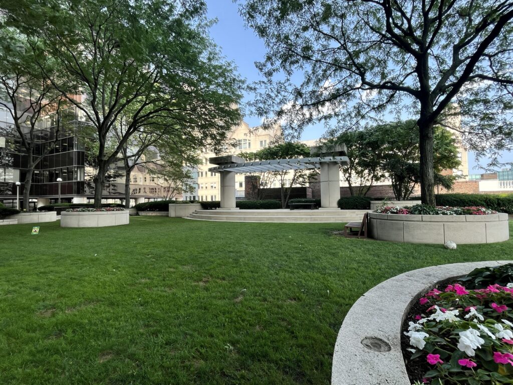 Beautiful Outdoor Space - Courtyard view 1 of 3 - The Biltmore