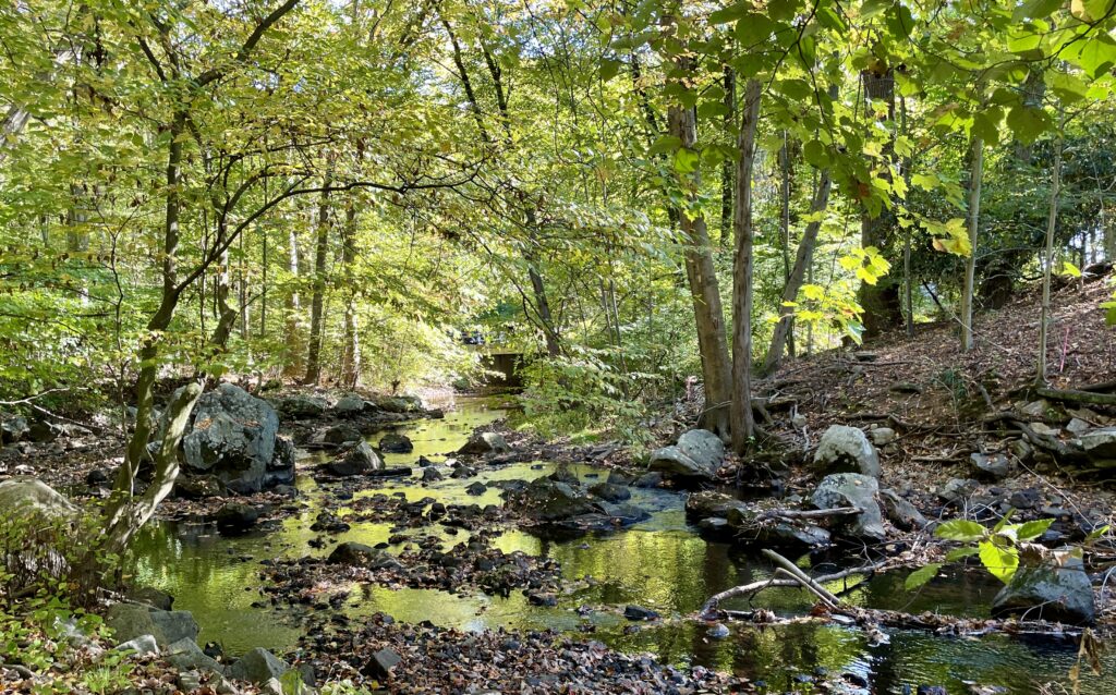 1 Meeting Grove Lane, Norwalk, CT with a natural swimming hole running through your backyard, the 5 Mile River.