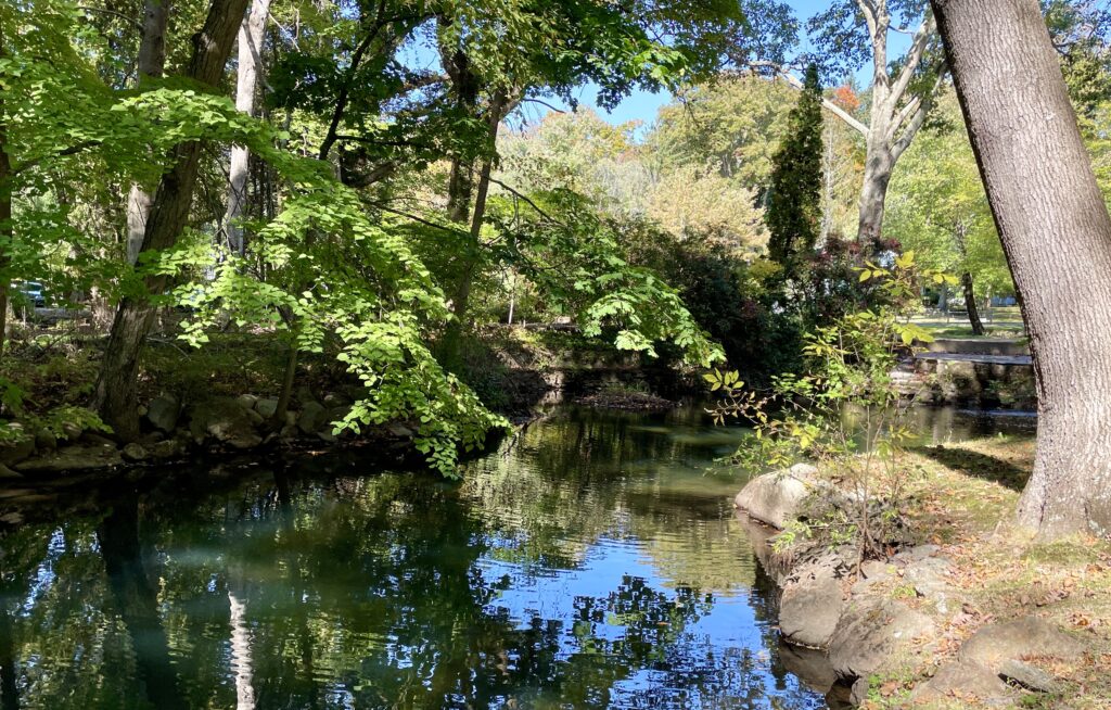 1 Meeting Grove Lane, Norwalk, CT with a natural swimming hole running through your backyard, the 5 Mile River.